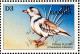 Colnect-3505-637-Piping-Plover%C2%A0Charadrius-melodus.jpg