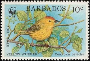 Colnect-1497-074-American-Yellow-Warbler-Dendroica-petechia.jpg