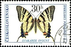 Colnect-5243-440-Scarce-Swallowtail-Iphiclides-podalirius.jpg