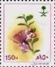 Colnect-3582-166-Capparis-cartilagenia.jpg