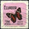 Colnect-2305-182-Scarlet-Peacock-Anartia-amathea.jpg