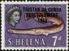 Colnect-3897-534-Atlantic-Trumpetfish-Aulostomus-strigosus.jpg