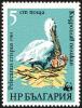 Colnect-732-690-Dalmatian-Pelican-Pelecanus-crispus.jpg