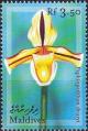 Colnect-3659-765-Paphiopedilum-druryi.jpg