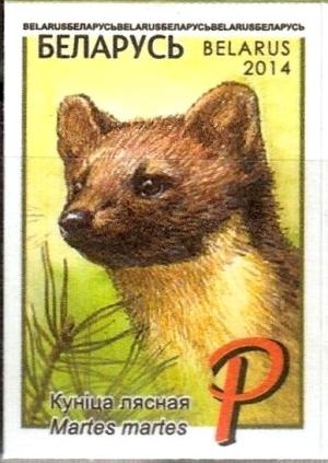 Colnect-2532-818-European-Pine-Marten-Martes-martes.jpg