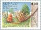 Colnect-149-518-Pinus-uncinata.jpg