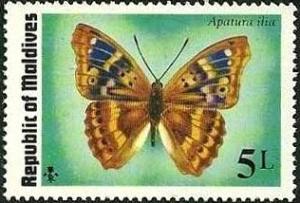 Colnect-768-211-Lesser-Purple-Emperor-Apatura-ilia.jpg