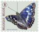 Colnect-2286-140-Lesser-Purple-Emperor-Apatura-ilia-.jpg