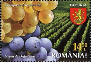 Colnect-2760-075-Oltenia-%E2%80%93-Grapes-%E2%80%9ECramposie-Selectionata%E2%80%9C-and-%E2%80%9ENegru-de-Drag.jpg
