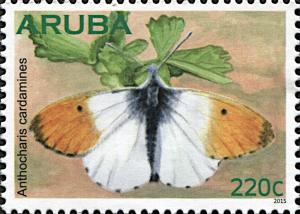 Colnect-6277-729-Orange-Tip-Anthocharis-cardamines.jpg