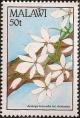 Colnect-1734-931-Aerangis-luteo-alba.jpg