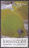Colnect-1855-939-Hooded-Butterflyfish-Chaetodon-larvatus-.jpg