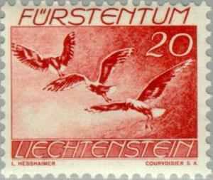 Colnect-131-778-European-Herring-Gull-Larus-argentatus.jpg