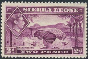 Colnect-2387-778-Rice-Harvesting.jpg