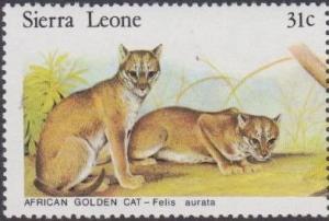 Colnect-3992-844-African-golden-cats.jpg