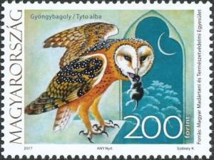 Colnect-4262-411-Western-Barn-Owl-Tyto-alba.jpg