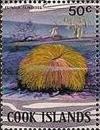 Colnect-2221-726-Common-Mushroom-Coral-Fungia-fungites.jpg