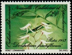 Colnect-853-955-Dendrobium-fractiflexum.jpg