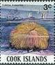 Colnect-2220-783-Common-Mushroom-Coral-Fungia-fungites.jpg