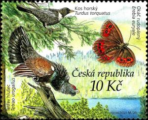 Colnect-3776-193-Ring-Ouzel-Turdus-torquatus-Western-Capercaillie-Tetrao-.jpg