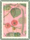 Colnect-1626-946-Paper-mulberry-Broussonetia-papvrifera.jpg