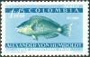 Colnect-5056-333--Blue--Parrotfish-Scarus-coeruleus.jpg