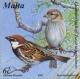 Colnect-131-472-Spanish-Sparrow-Passer-hispaniolensis.jpg