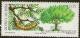 Colnect-1682-825-Algarrobo-Prosopis-alba.jpg