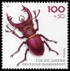 DBP_1993_1668_Hirschk%25C3%25A4fer.jpg