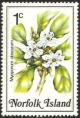 Colnect-2167-350-Myoporum-obsurum---Popwood.jpg