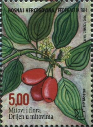 Colnect-3752-894-Cornelian-cherry-or-European-cornel-in-myths.jpg
