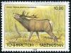 Colnect-5030-260-Bactrian-Deer-Cervus-elaphus-bactrianus.jpg