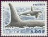 Colnect-878-682-Killer-Whale-Orcinus-orca.jpg
