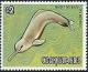 Colnect-3075-020-Amazon-River-Dolphin-Inia-geoffrensis-.jpg