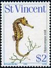 Colnect-2750-190-Longsnout-Seahorse-Hippocampus-reidi.jpg