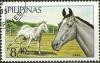 Colnect-2860-169-Gray-Horse-Equus-ferus-caballus.jpg