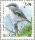 Colnect-187-358-Northern-Shrike-Lanius-excubitor.jpg