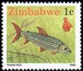 Colnect-2344-370-Tigerfish-Hydrocynus-lineatus-.jpg