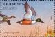 Colnect-1047-759-Northern-Shoveler-Spatula-clypeata.jpg