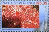 Colnect-1748-320-Red-Sponge-Clathria-mima.jpg