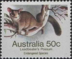 Colnect-1993-366-Leadbeater-s-Possum-Gymnobelideus-leadbeateri.jpg