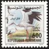 Colnect-6306-001-White-Stork-Ciconia-ciconia.jpg
