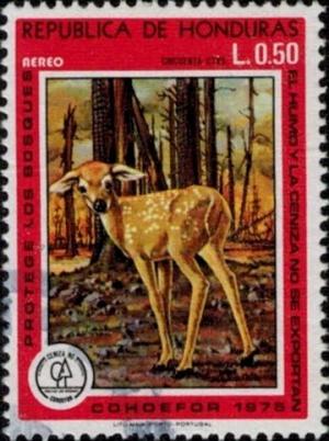 Colnect-2459-349-Forest-Protection---Fawn.jpg