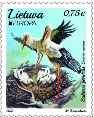 Colnect-5726-709-White-Stork-Ciconia-ciconia.jpg