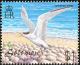 Colnect-2354-173-Greater-Crested-Tern-Thalasseus-bergii.jpg
