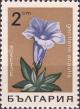 Colnect-3519-693-Stemless-gentian.jpg