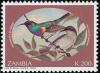 Colnect-1502-674-Oustalet-s-Sunbird-Cinnyris-oustaleti.jpg