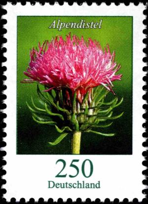 Colnect-5205-824-Carduus-defloratus---Thistle.jpg