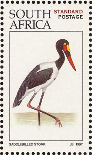 Ephippiorhynchus-senegalensis.jpg
