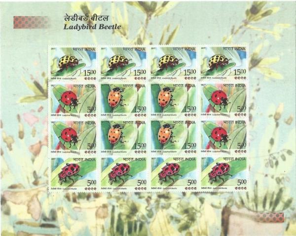 Colnect-4058-471-Ladybird-Beetles-of-India---Sheetlet-Format-3.jpg